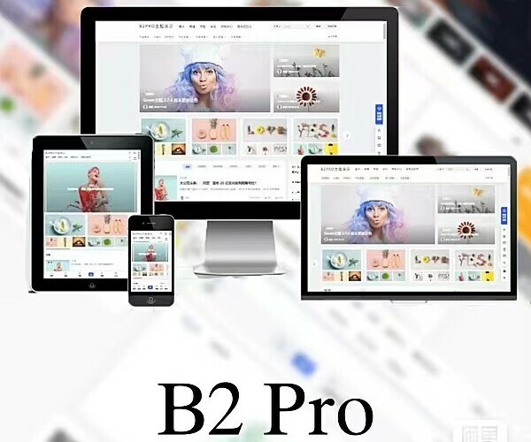 B2Pro_v5.2.0(开心版)