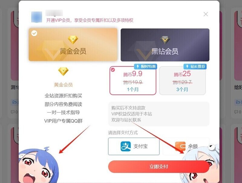 Zibll主题 – 会员购买弹窗增加背景-龙盟网