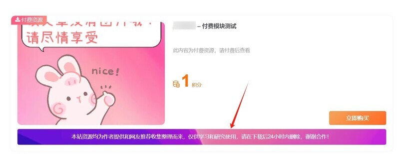 Zibll主题 – 付费详情说明模块样式-龙盟网