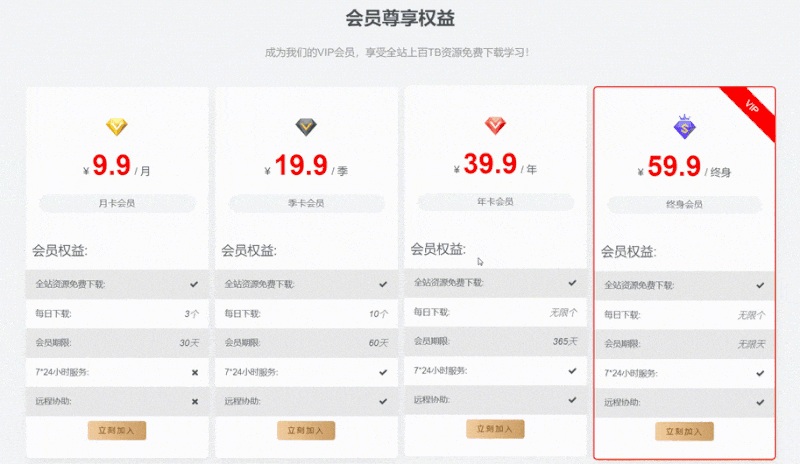 Zibll主题 – 首页VIP购买小工具(第1版)-龙盟网