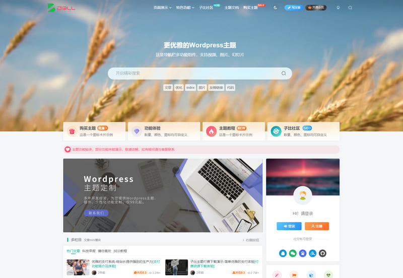 Zibll_v8.9(开心版)-龙盟网