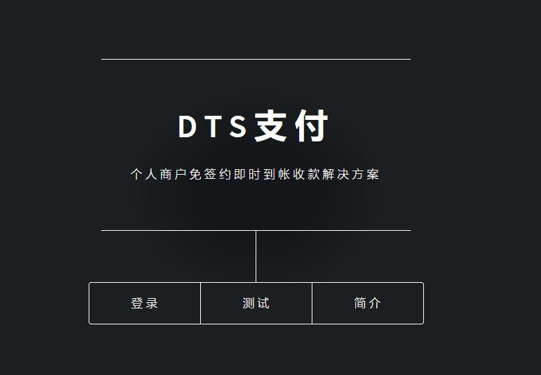 DTS码支付系统(附送APP)-龙盟网