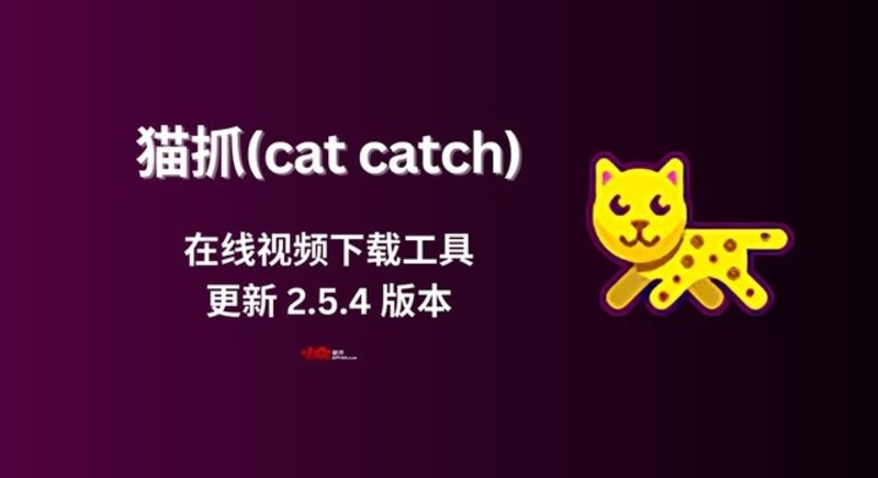 猫抓V2.5.9-龙盟网