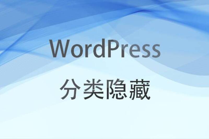 WordPress主题插件 – 分类隐藏-龙盟网